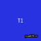 T1